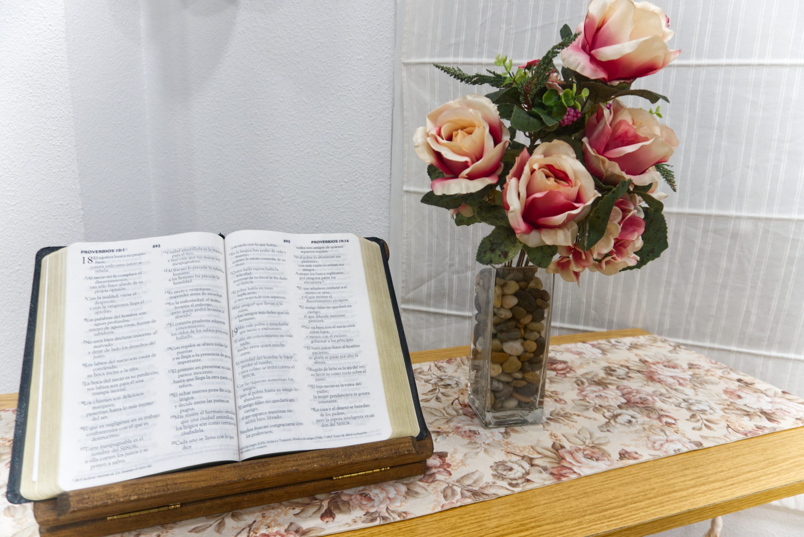 biblia flores